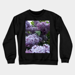 lilac Crewneck Sweatshirt